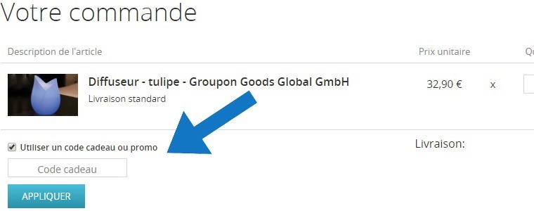 Où mettre un code promo Groupon ?