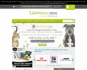 Accessoire chat convalescence - Boutique pour animaux Wanimo